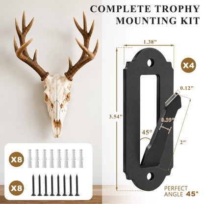 Aifanss European Mount Skull Hanger 4 pcs,Stainless Steel Wall Mount for Deer, Mule Deer, Antelope, Coyote and Small Game Skull Display