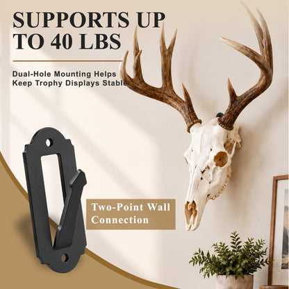 Aifanss European Mount Skull Hanger 4 pcs,Stainless Steel Wall Mount for Deer, Mule Deer, Antelope, Coyote and Small Game Skull Display