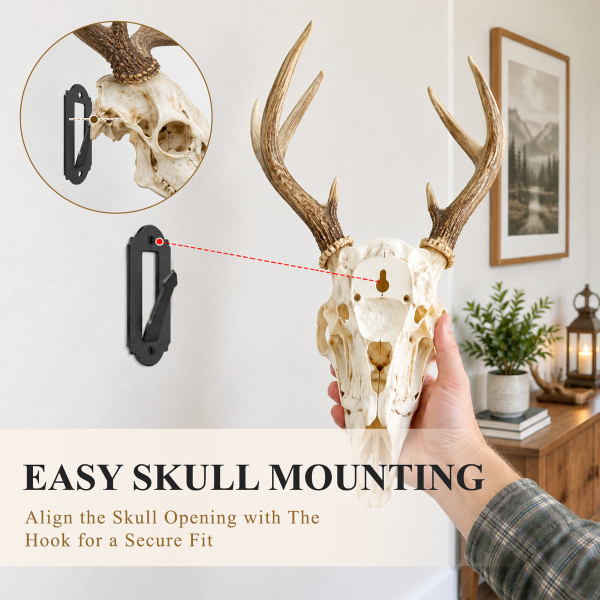 Aifanss European Mount Skull Hanger 4 pcs,Stainless Steel Wall Mount for Deer, Mule Deer, Antelope, Coyote and Small Game Skull Display