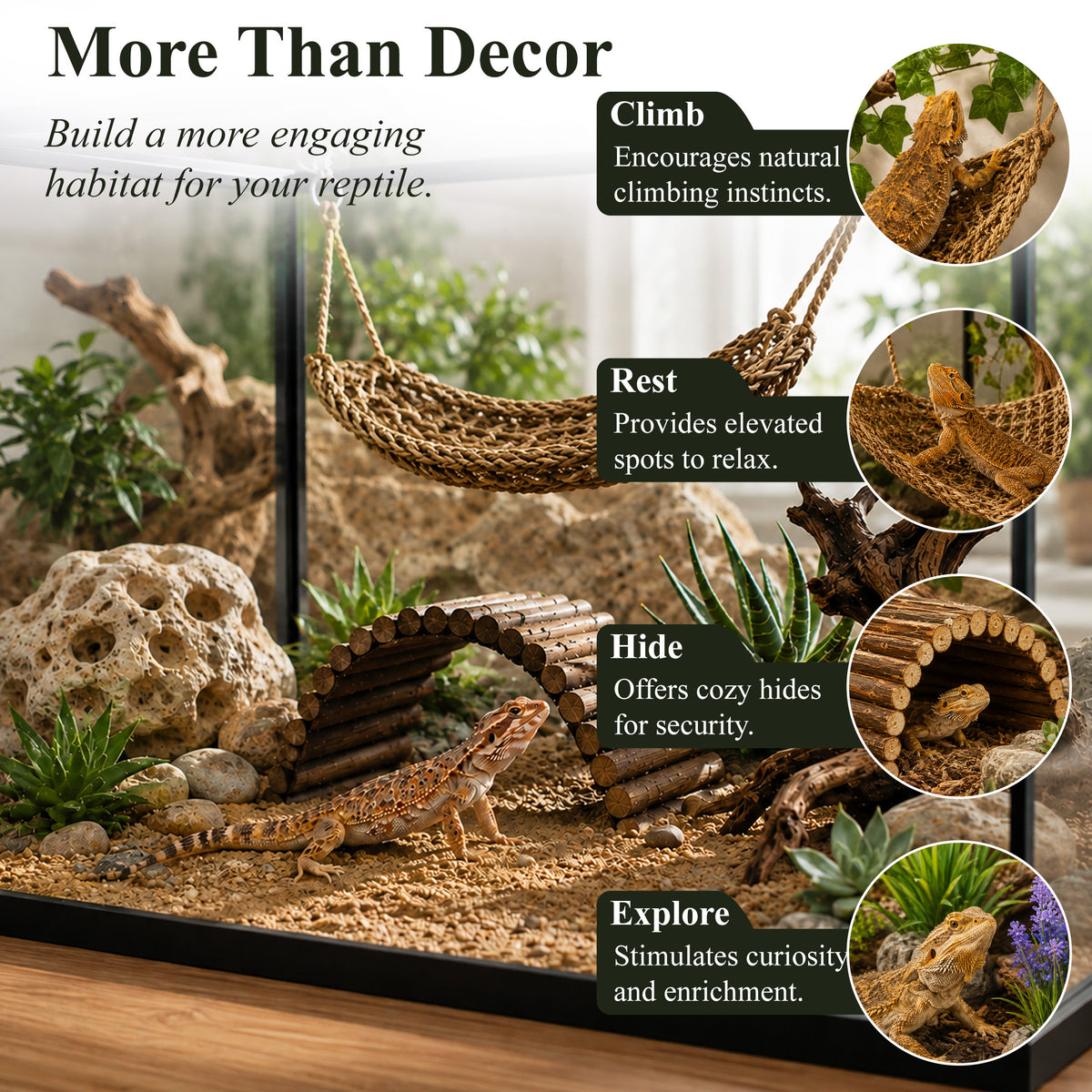 Aifanss Bearded Dragon Tank Accessories, 9 PCS Reptile Hammock Climbing Bridge Jungle Vines, Terrarium Decor for Lizards Geckos Snake Habitat Set