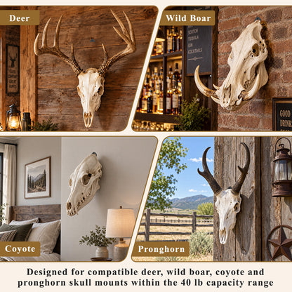 Aifanss European Mount Skull Hanger 4 pcs,Stainless Steel Wall Mount for Deer, Mule Deer, Antelope, Coyote and Small Game Skull Display