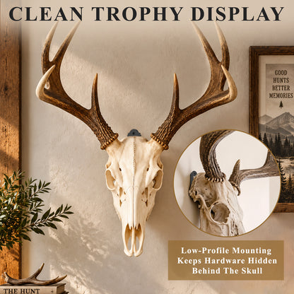 Aifanss European Mount Skull Hanger 4 pcs,Stainless Steel Wall Mount for Deer, Mule Deer, Antelope, Coyote and Small Game Skull Display